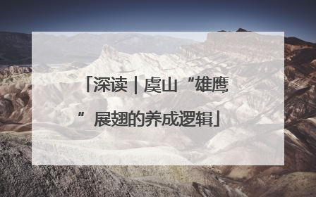 深读｜虞山“雄鹰”展翅的养成逻辑