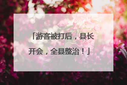 游客被打后，县长开会，全县整治！