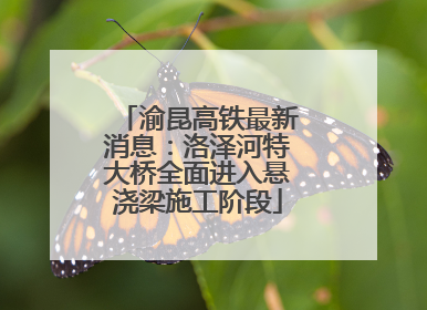 渝昆高铁最新消息：洛泽河特大桥全面进入悬浇梁施工阶段
