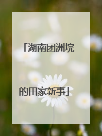 湖南团洲垸的田家新事