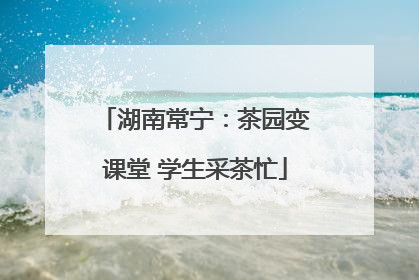 湖南常宁：茶园变课堂 学生采茶忙