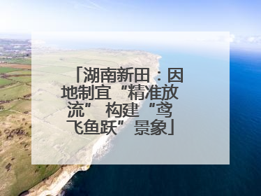 湖南新田：因地制宜“精准放流” 构建“鸢飞鱼跃”景象