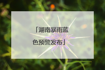 湖南暴雨蓝色预警发布