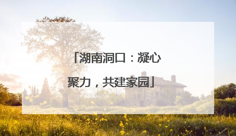 湖南洞口：凝心聚力，共建家园