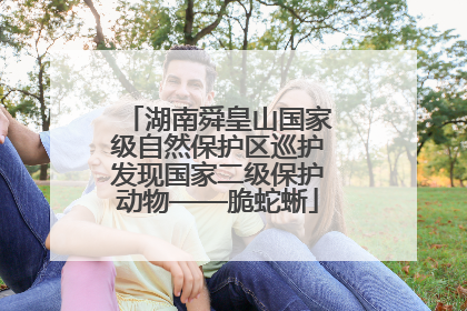 湖南舜皇山国家级自然保护区巡护发现国家二级保护动物——脆蛇蜥