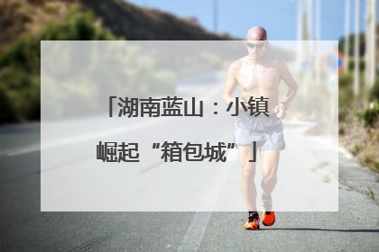 湖南蓝山：小镇崛起“箱包城”