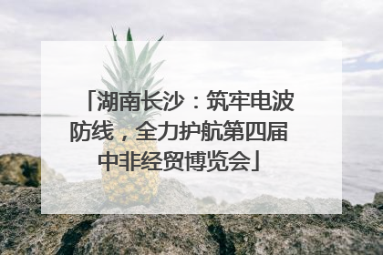 湖南长沙：筑牢电波防线，全力护航第四届中非经贸博览会
