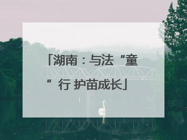 湖南：与法“童”行 护苗成长