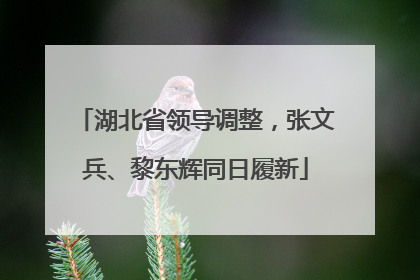 湖北省领导调整，张文兵、黎东辉同日履新