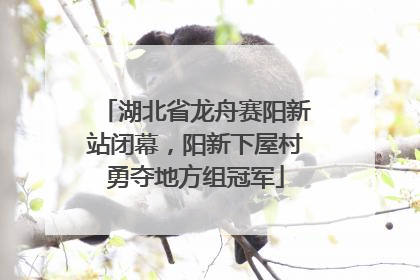 湖北省龙舟赛阳新站闭幕，阳新下屋村勇夺地方组冠军