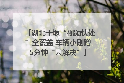 湖北十堰“视频快处”全覆盖 车辆小剐蹭5分钟“云解决”
