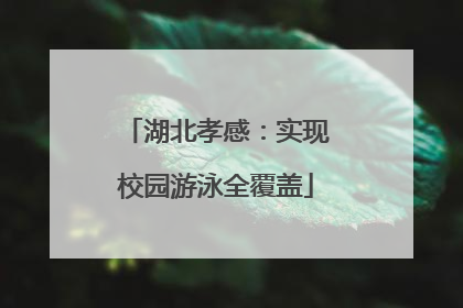 湖北孝感：实现校园游泳全覆盖