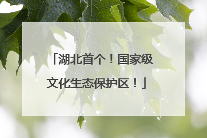 湖北首个！国家级文化生态保护区！