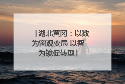 湖北黄冈：以数为窗观变局 以智为镜促转型