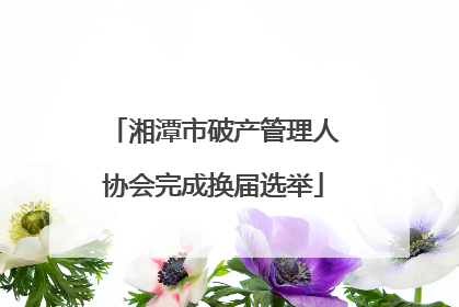 湘潭市破产管理人协会完成换届选举