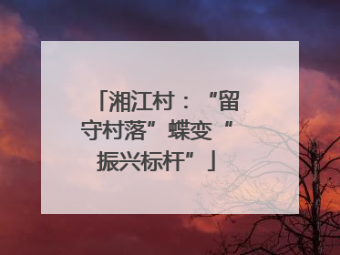 湘江村：“留守村落”蝶变“振兴标杆”