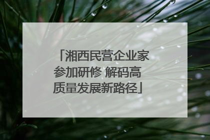湘西民营企业家参加研修 解码高质量发展新路径