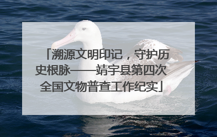 溯源文明印记，守护历史根脉——靖宇县第四次全国文物普查工作纪实