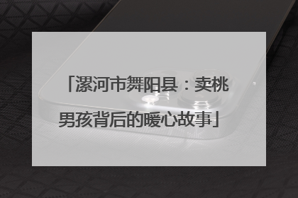 漯河市舞阳县：卖桃男孩背后的暖心故事