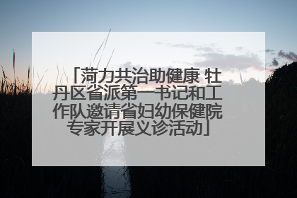 菏力共治助健康 牡丹区省派第一书记和工作队邀请省妇幼保健院专家开展义诊活动