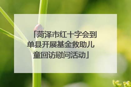 菏泽市红十字会到单县开展基金救助儿童回访慰问活动