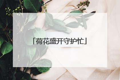 荷花盛开守护忙