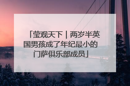 莹观天下｜两岁半英国男孩成了年纪最小的门萨俱乐部成员