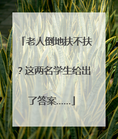 老人倒地扶不扶？这两名学生给出了答案……