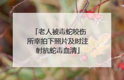 老人被毒蛇咬伤 所幸拍下照片及时注射抗蛇毒血清