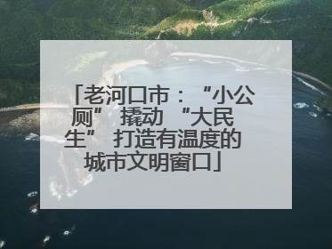 老河口市：“小公厕” 撬动 “大民生” 打造有温度的城市文明窗口