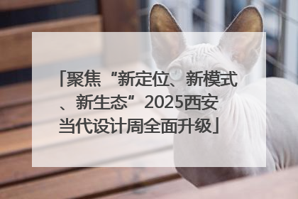 聚焦“新定位、新模式、新生态”2025西安当代设计周全面升级