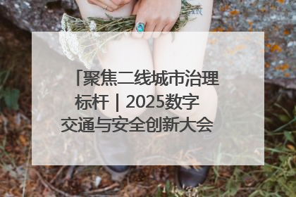 聚焦二线城市治理标杆｜2025数字交通与安全创新大会在保定隆重开幕