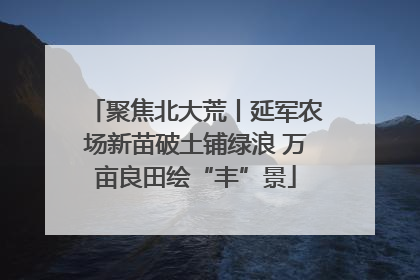 聚焦北大荒丨延军农场新苗破土铺绿浪 万亩良田绘“丰”景