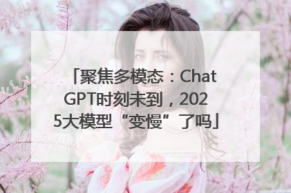 聚焦多模态：ChatGPT时刻未到，2025大模型“变慢”了吗