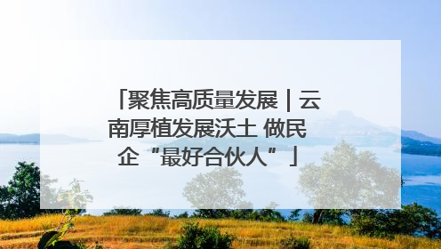 聚焦高质量发展｜云南厚植发展沃土 做民企“最好合伙人”