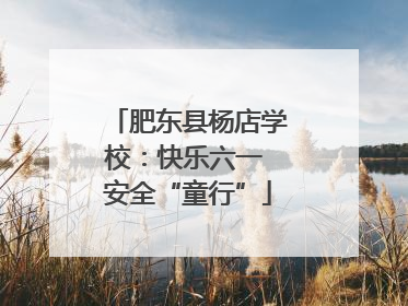 肥东县杨店学校：快乐六一 安全“童行”