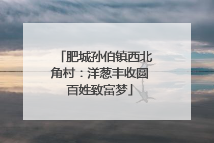 肥城孙伯镇西北角村：洋葱丰收圆百姓致富梦