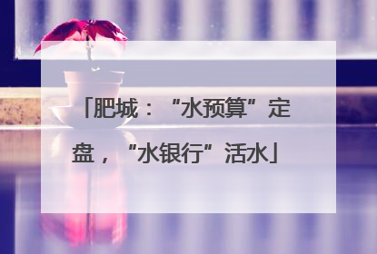 肥城：“水预算”定盘，“水银行”活水