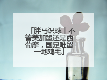 胖马识球丨不管美加墨还是西葡摩，国足唯留一地鸡毛