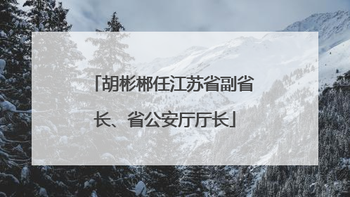 胡彬郴任江苏省副省长、省公安厅厅长