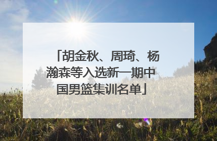 胡金秋、周琦、杨瀚森等入选新一期中国男篮集训名单