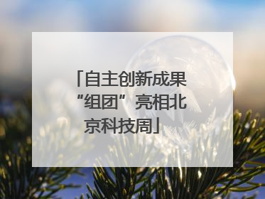 自主创新成果“组团”亮相北京科技周
