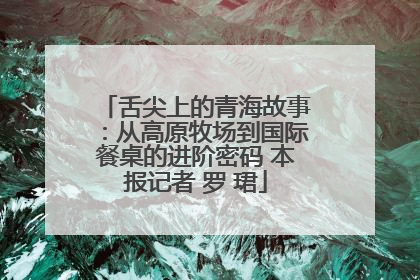 舌尖上的青海故事：从高原牧场到国际餐桌的进阶密码 本报记者 罗 珺