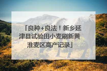 良种+良法！新乡延津县试验田小麦刷新黄淮麦区高产记录