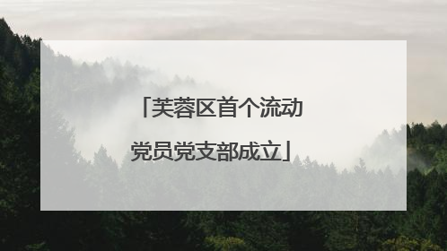芙蓉区首个流动党员党支部成立