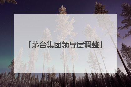 茅台集团领导层调整