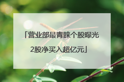 营业部最青睐个股曝光 2股净买入超亿元