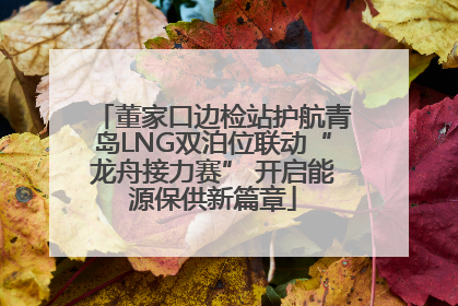 董家口边检站护航青岛LNG双泊位联动“龙舟接力赛” 开启能源保供新篇章