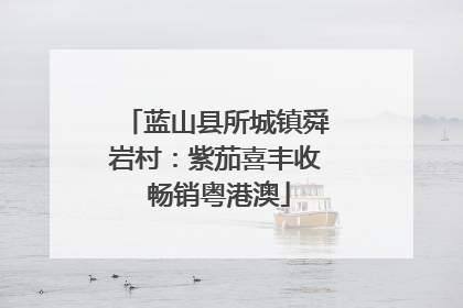 蓝山县所城镇舜岩村：紫茄喜丰收 畅销粤港澳