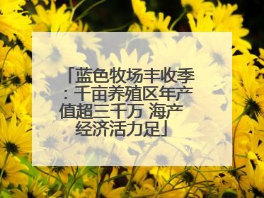 蓝色牧场丰收季：千亩养殖区年产值超三千万 海产经济活力足